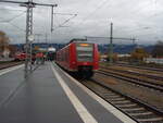 425 304 als IRE 3 nach Aulendorf in Lindau-Reutin. 19.11.2023