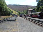 187 018 der Harzer Schmalspurbahnen als HSB Nordhausen Nord - Hasselfelde in Eisfelder Talmhle.
