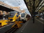 Ein GTW der Arriva als Stoptrein nach Leer (Ostfr.) in Groningen.