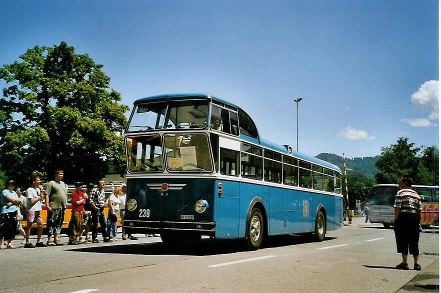 (086'618) - VBZ Zrich - Nr. 239/ZH 131'239 - FBW/Tscher Hochlenker (ex Kamm, Schlieren; ex VBZ Zrich Nr. 239; ex VBZ Zrich Nr. 219) am 18. Juni 2006 in Hinwil, AMP