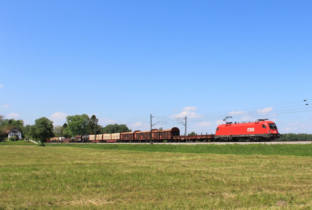 1016 043-0 ist mit einem gemischten Gterzug am 18. Mai 2013 bei bersee in Richtung Salzburg unterwegs.