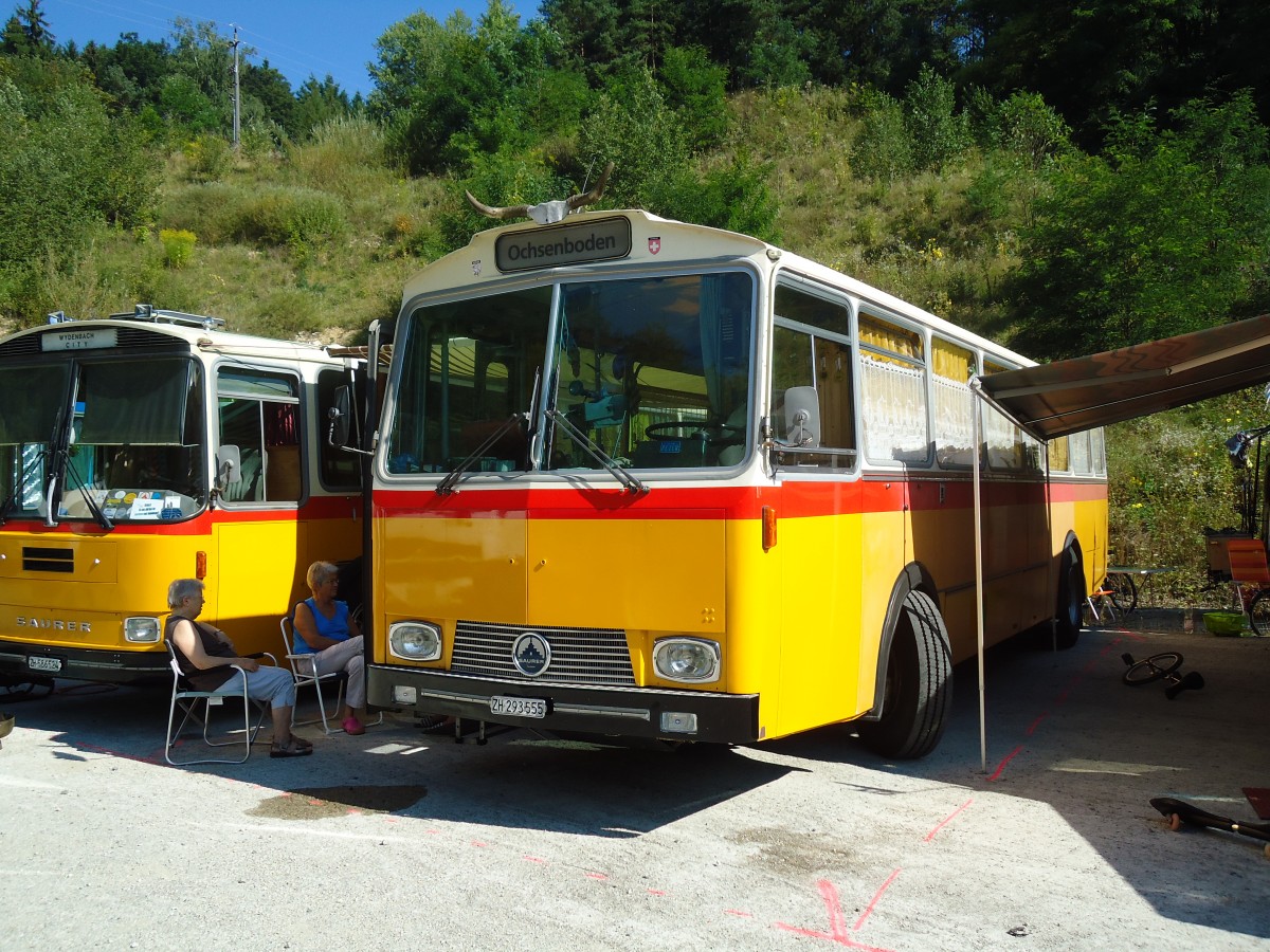 (128'956) - Gadliger, Horgen - ZH 293'555 - Saurer/Tscher (ex Lienert&Ehrler, Einsiedeln; ex Lienert, Einsiedeln) am 22. August 2010 in Thayngen, Wohnbustreffen