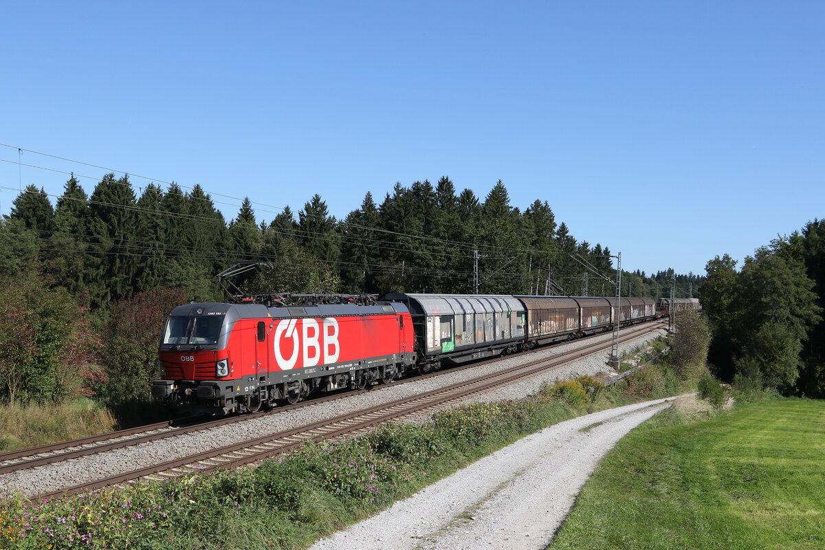 1293 193 mit einem gemischten Gterzug aus Salzburg kommend am 25. September 2021 bei Grabensttt.