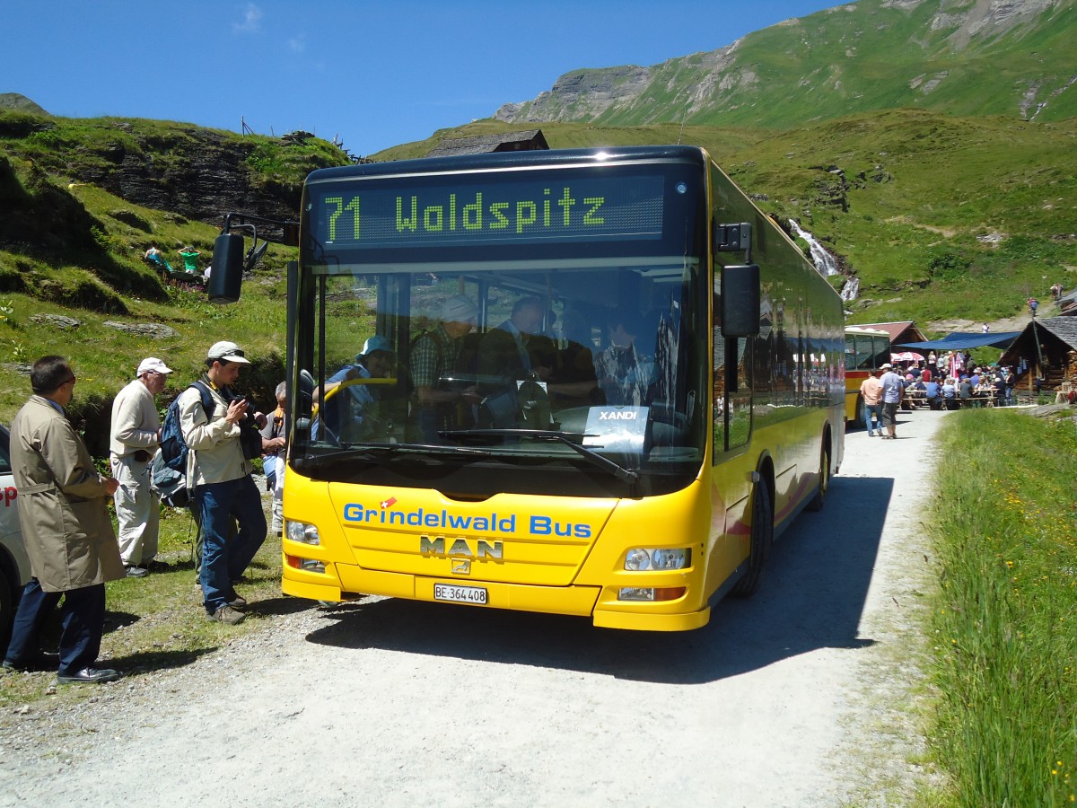 (134'704) - AVG Grindelwald - Nr. 24/BE 364'408 - MAN/Gppel am 3. Juli 2011 in Grindelwald, Bachlger