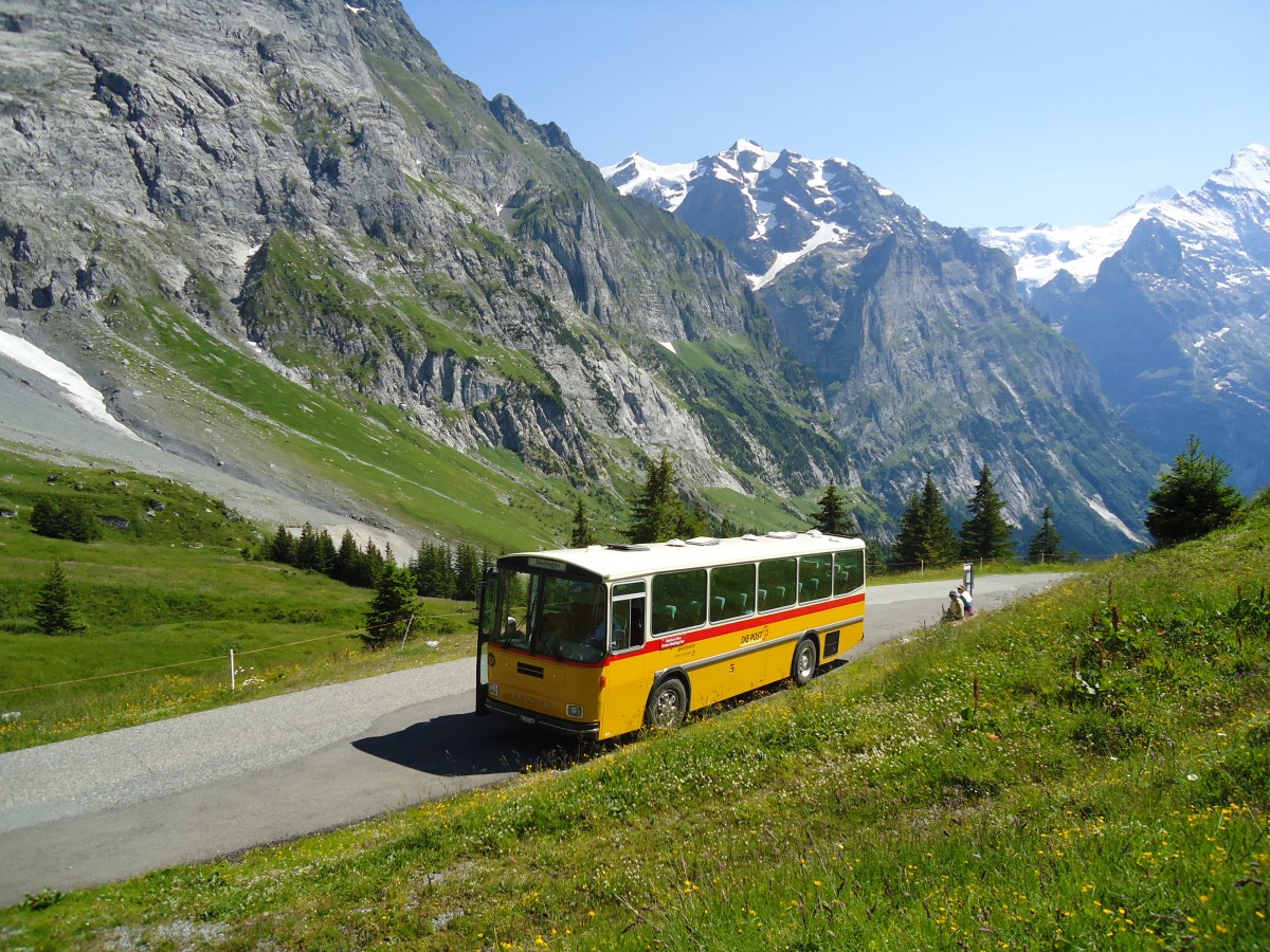 (134'777) - AVG Meiringen - Nr. 74/BE 607'481 - Saurer/R&J (ex P 24'357) am 3. Juli 2011 in Grindelwald, Oberer Lauchbhl