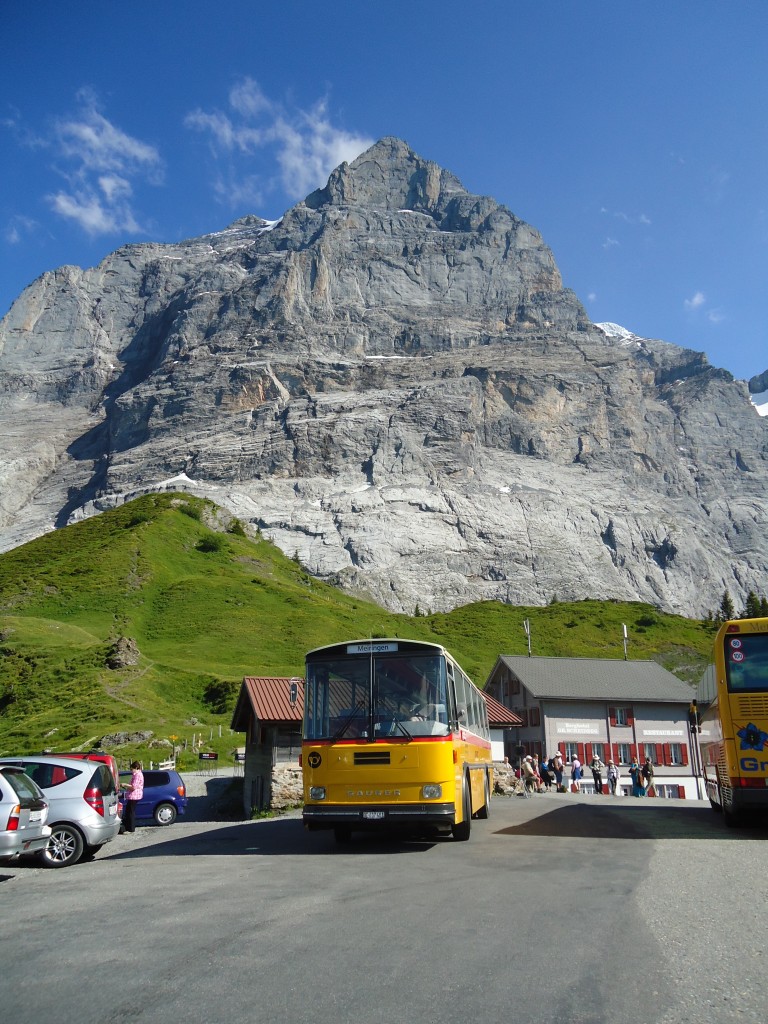 (134'804) - AVG Meiringen - Nr. 74/BE 607'481 - Saurer/R&J (ex P 24'357) am 3. Juli 2011 auf der Grossen Scheidegg