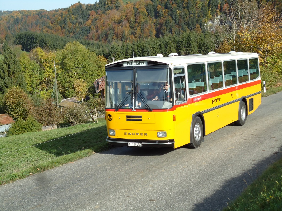 (142'019) - Schumacher, Liebefeld - BE 136'580 - Saurer/Tscher (ex Zimmermann, Niederwangen; ex P 24'289) am 21. Oktober 2012 bei Zumholz