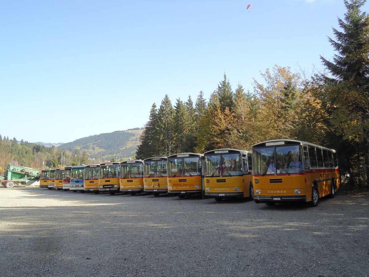 (142'039) - Schmid, Thrishaus - BE 26'206 - Saurer/Tscher (ex P 24'244) am 21. Oktober 2012 in Schwarzsee, Schwyberg