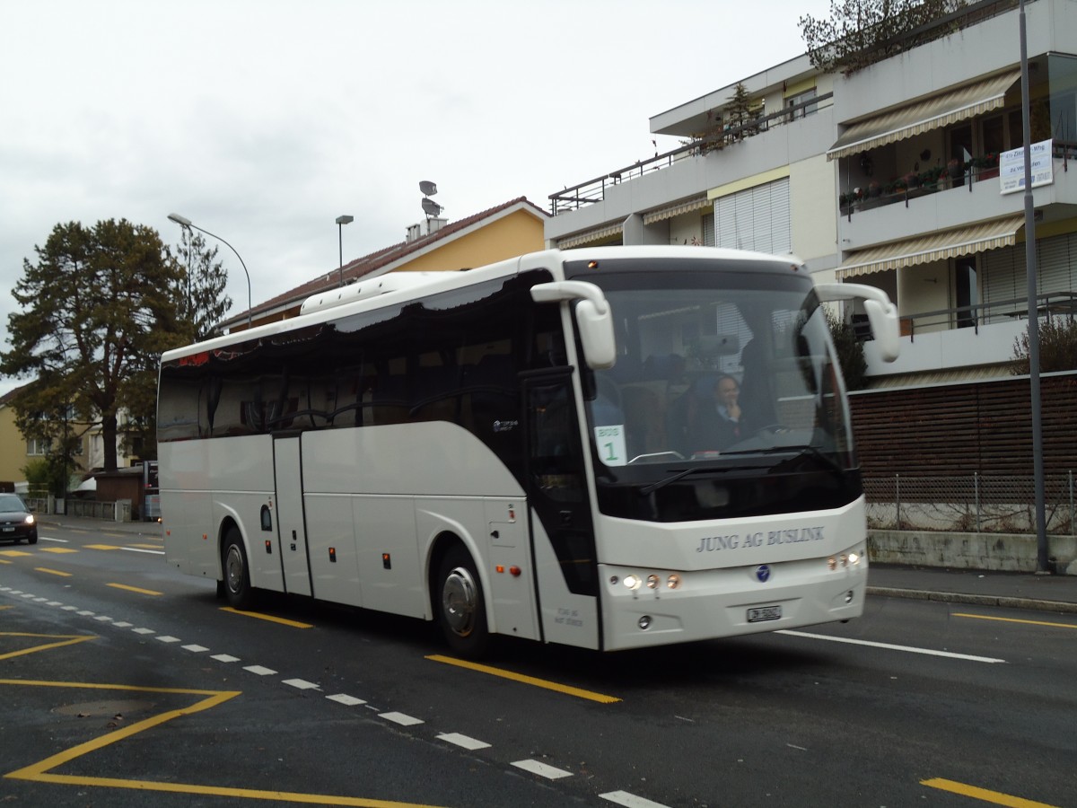 (142'695) - Jung, Zrich - ZH 5022 - Temsa am 28. Dezember 2012 in Thun, Drrenast