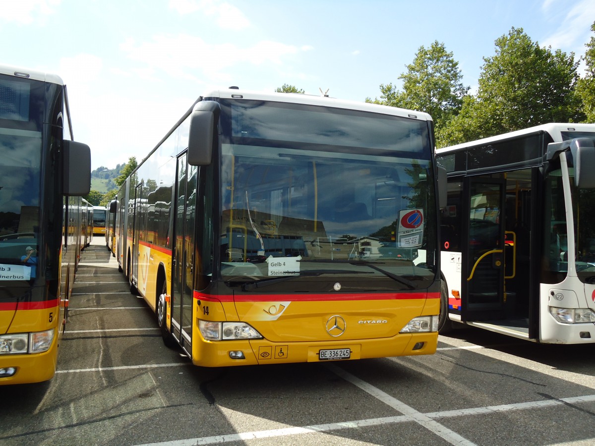 (146'905) - Steiner, Ortschwaben - Nr. 14/BE 336'245 - Mercedes am 1. September 2013 in Burgdorf, Markthalle