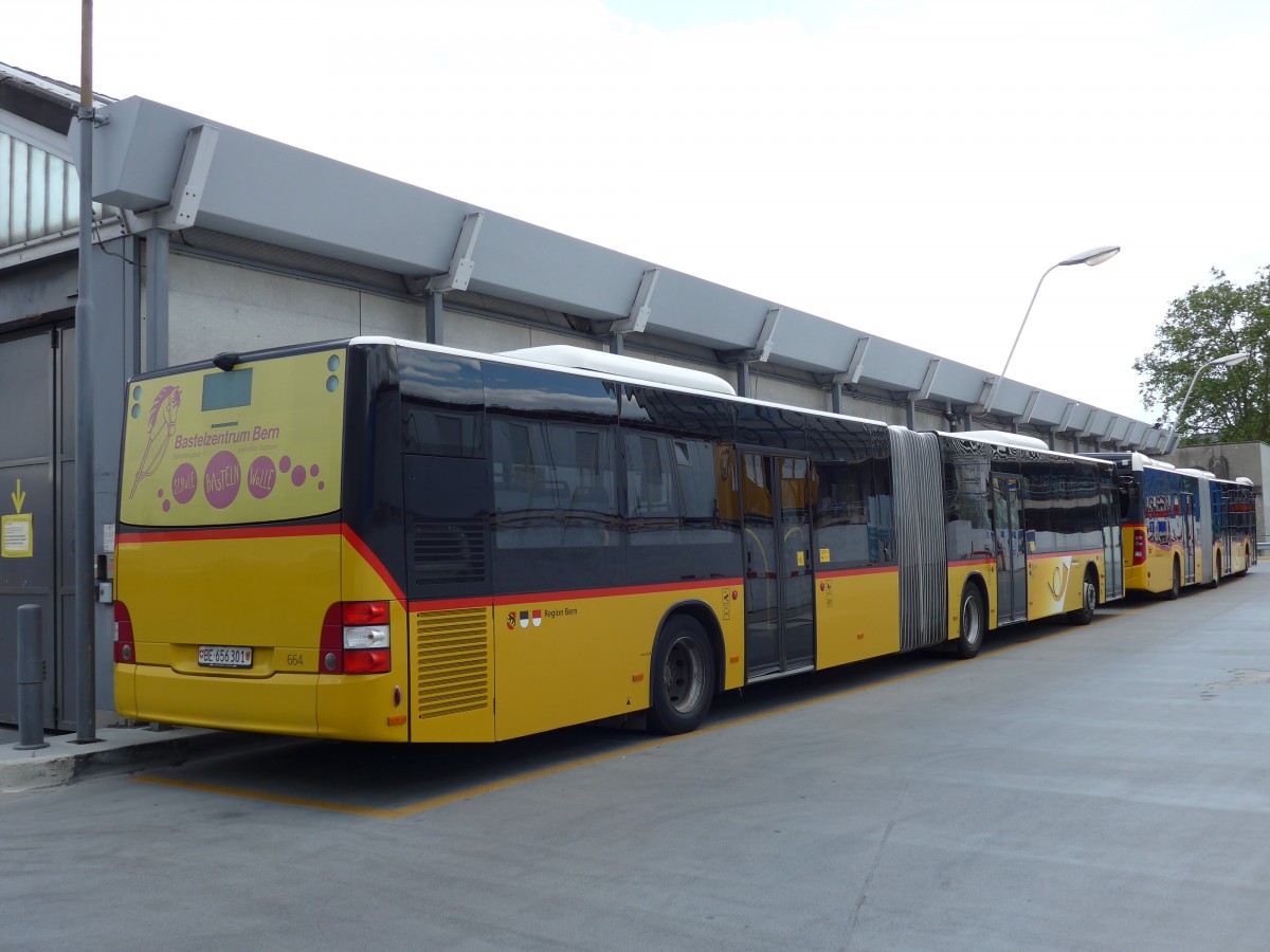 (151'029) - PostAuto Bern - Nr. 664/BE 656'301 - MAN am 29. Mai 2014 in Bern, Postautostation