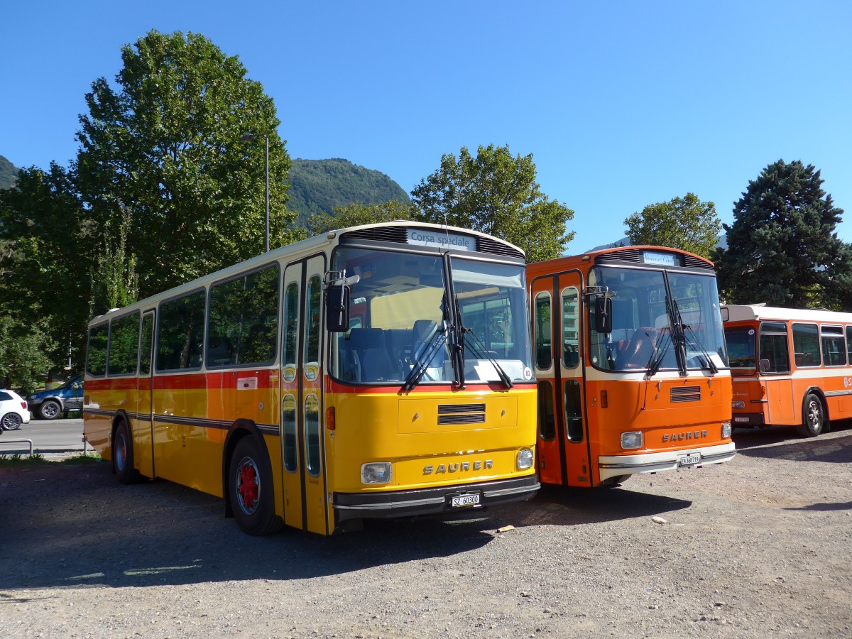 (155'195) - Rubatscher, Seewen - SZ 60'300 - Saurer/R&J (ex Brtsch, Bttenhardt; ex P 24'361) am 13. September 2014 in Lugano, Saurertreffen