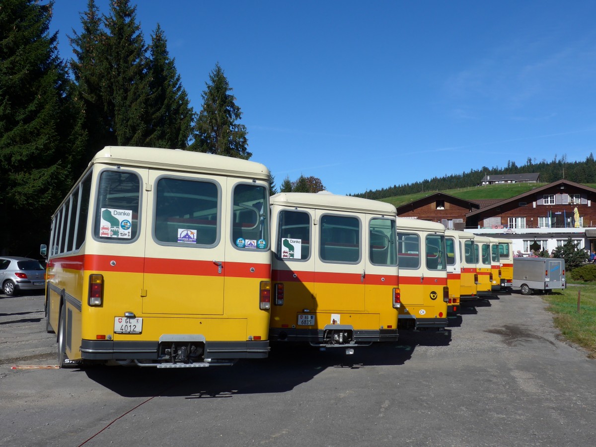 (155'645) - Schmid, Glarus - GL 4012 - Saurer/Tscher (ex Mosimann, Aesch; ex Erne, Full; ex P 24'257) am 12. Oktober 2014 in Willerzell, Sattelegg