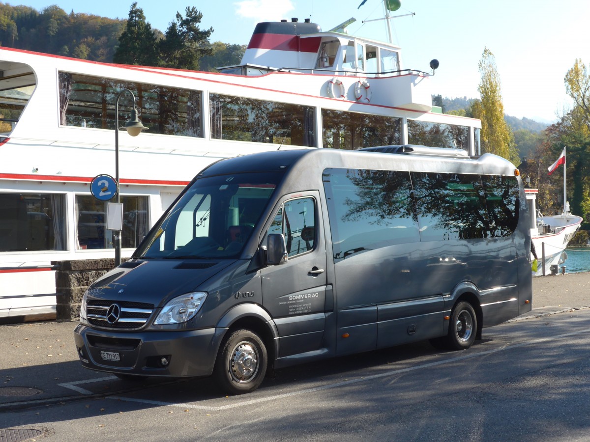 (156'334) - Sommer, Grnen - BE 721'917 - Mercedes/UNVI am 29. Oktober 2014 bei der Schifflndte Thun