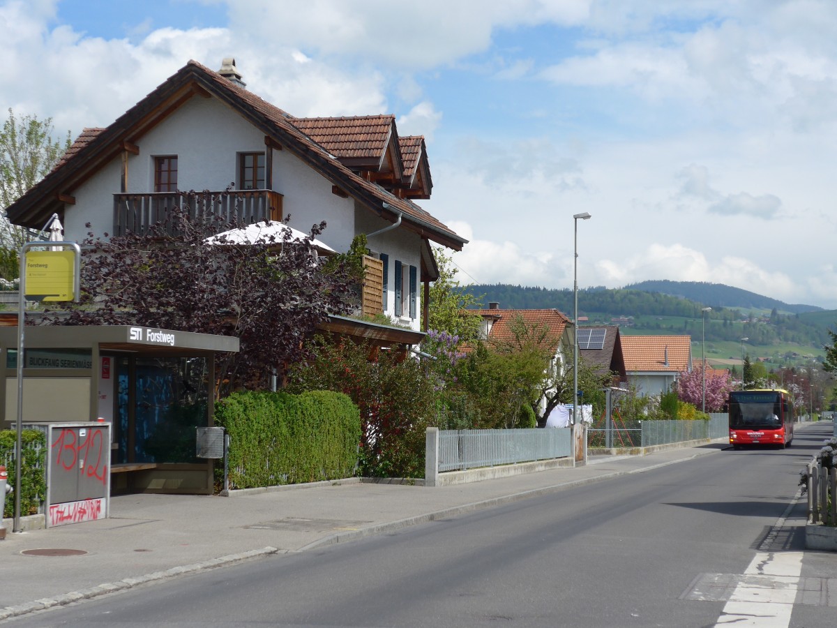 (160'149) - STI Thun - Nr. 149/BE 801'149 - MAN am 27. April 2015 in Thun-Lerchenfeld, Langestrasse