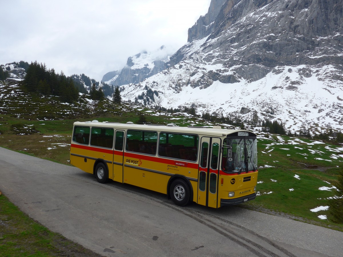 (161'010) - AVG Meiringen - Nr. 74/BE 607'481 - Saurer/R&J (ex PostAuto Berner Oberland; ex P 24'357) am 25. Mai 2015 in Grindelwald, Oberer Lauchbhl