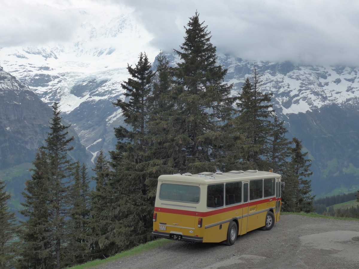 (161'044) - AVG Meiringen - Nr. 74/BE 607'481 - Saurer/R&J (ex PostAuto Berner Oberland; ex P 24'357) am 25. Mai 2015 in Grindelwald, Waldspitz