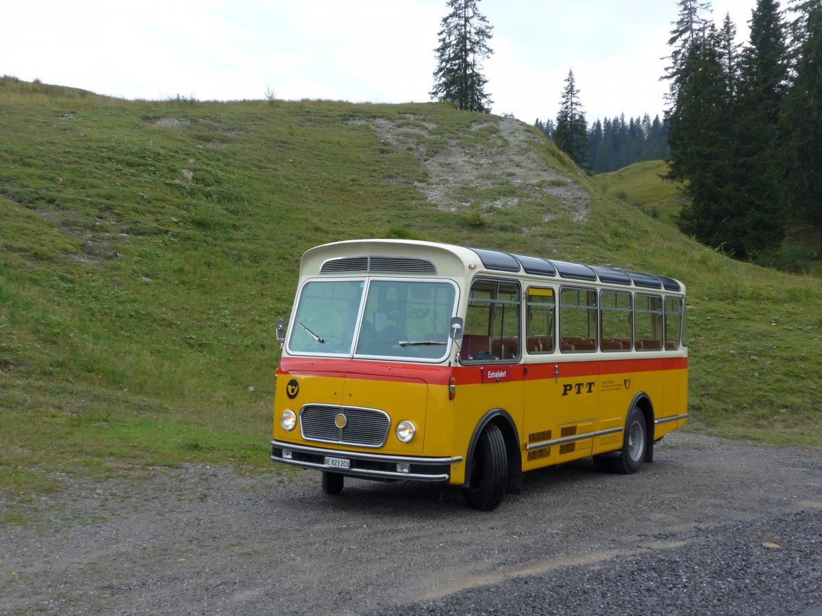 (163'755) - Rentsch, Gunten - BE 823'203 - FBW/Gangloff (ex P 23'203; ex P 21'003) am 23. August 2015 in Habkern, Lombachalp