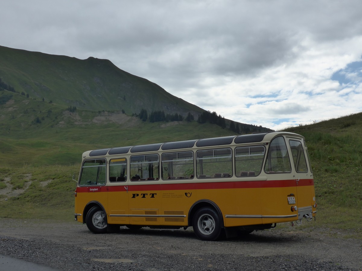 (163'762) - Rentsch, Gunten - BE 823'203 - FBW/Gangloff (ex P 23'203; ex P 21'003) am 23. August 2015 in Habkern, Lombachalp