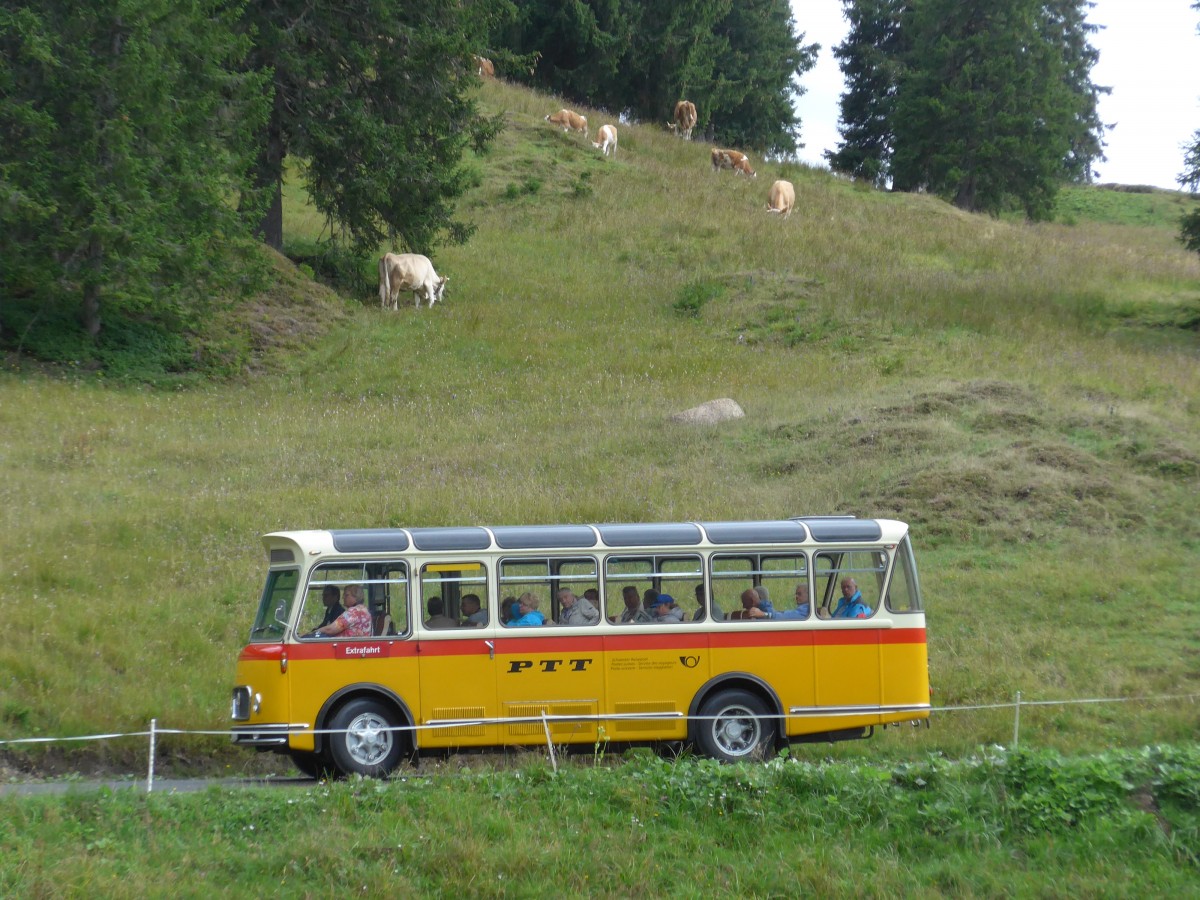 (163'771) - Rentsch, Gunten - BE 823'203 - FBW/Gangloff (ex P 23'203; ex P 21'003) am 23. August 2015 in Habkern, Lombachalp