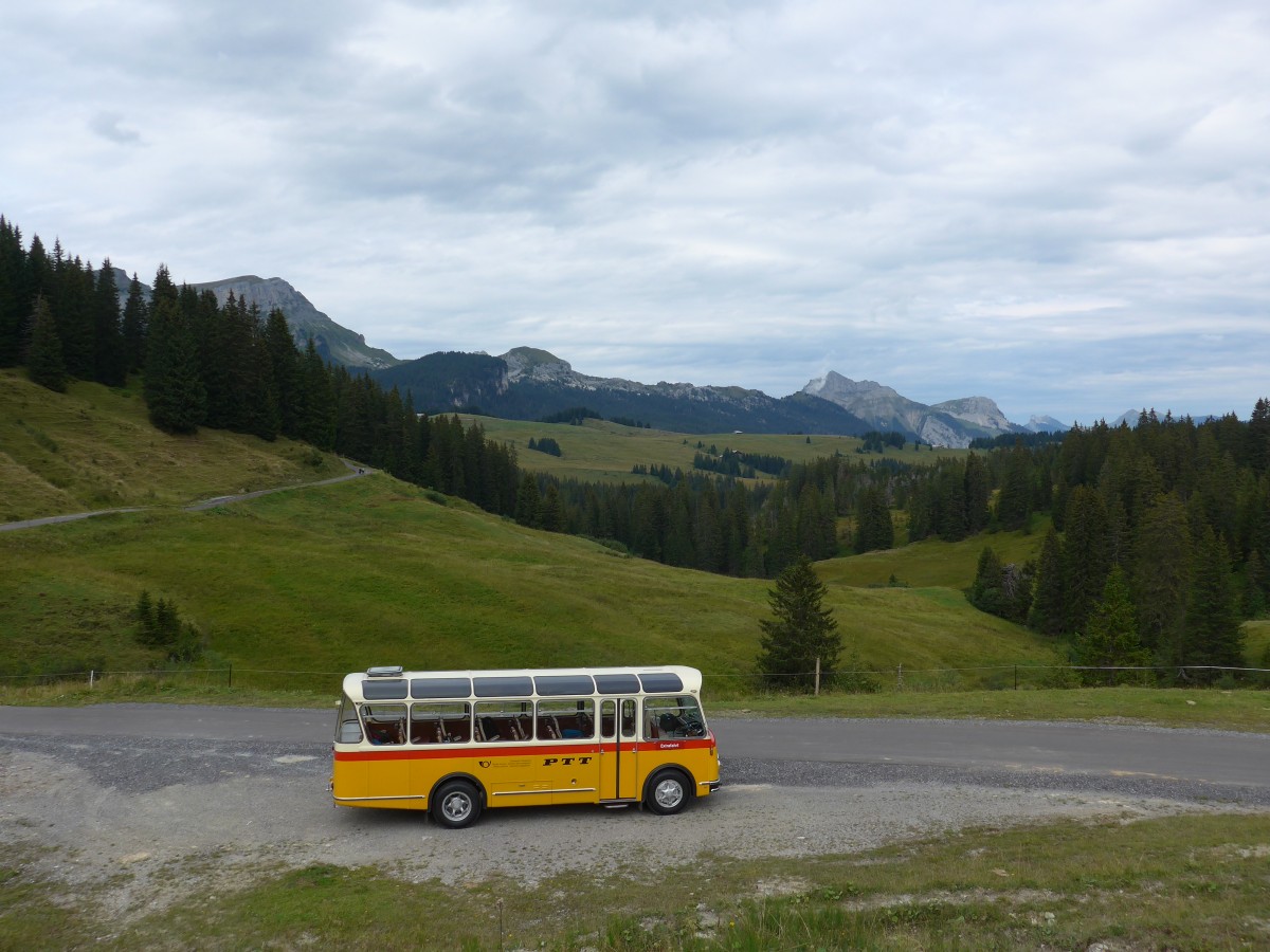 (163'819) - Rentsch, Gunten - BE 823'203 - FBW/Gangloff (ex P 23'203; ex P 21'003) am 23. August 2015 in Habkern, Lombachalp