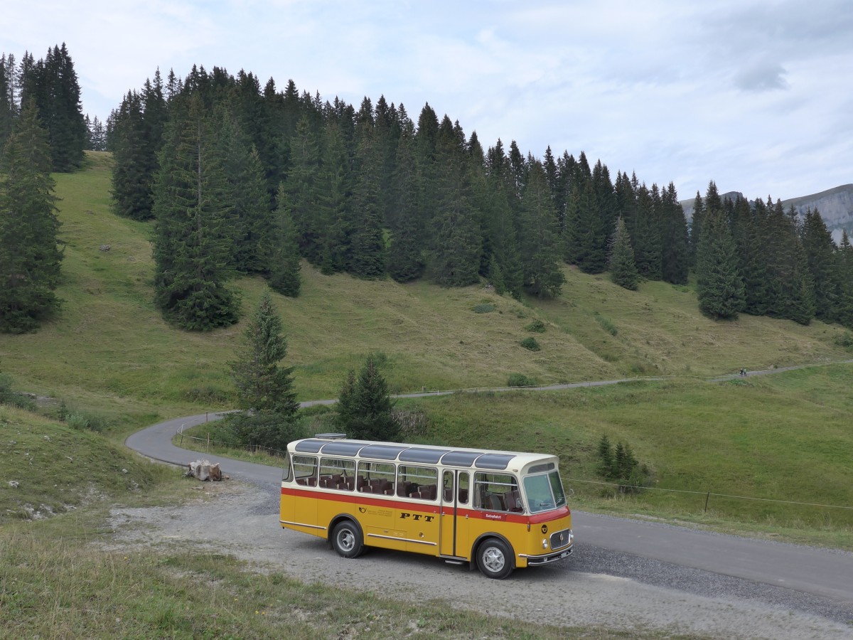 (163'820) - Rentsch, Gunten - BE 823'203 - FBW/Gangloff (ex P 23'203; ex P 21'003) am 23. August 2015 in Habkern, Lombachalp