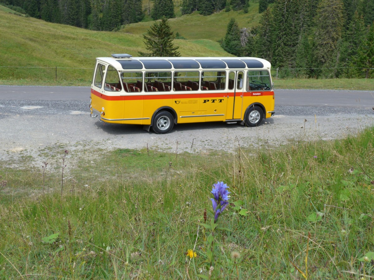 (163'823) - Rentsch, Gunten - BE 823'203 - FBW/Gangloff (ex P 23'203; ex P 21'003) am 23. August 2015 in Habkern, Lombachalp