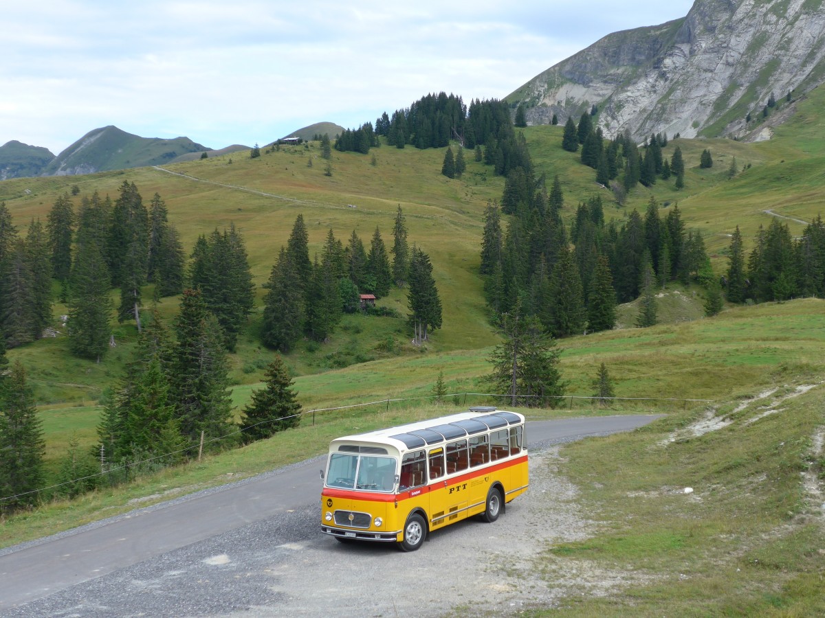 (163'825) - Rentsch, Gunten - BE 823'203 - FBW/Gangloff (ex P 23'203; ex P 21'003) am 23. August 2015 in Habkern, Lombachalp