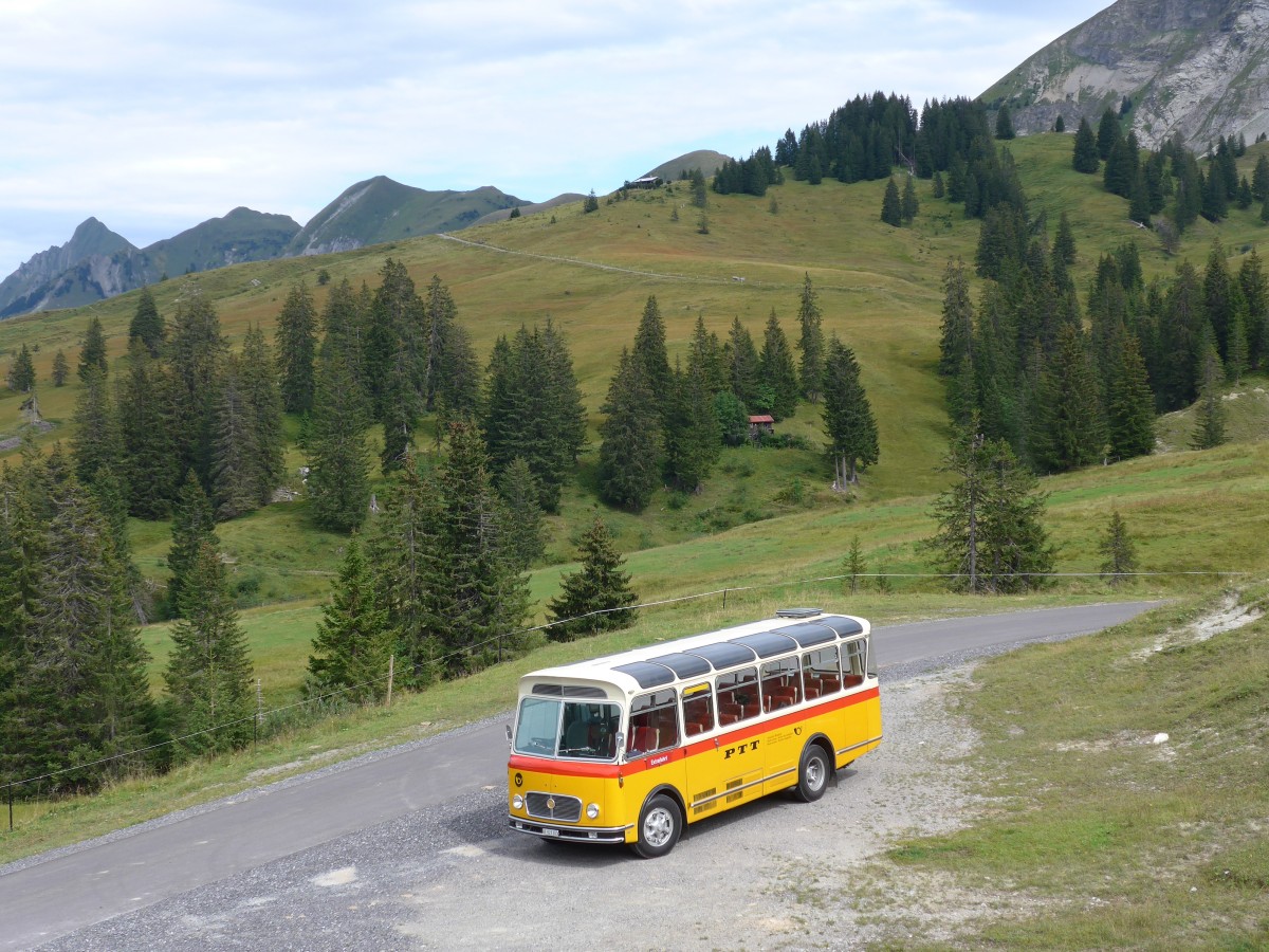 (163'826) - Rentsch, Gunten - BE 823'203 - FBW/Gangloff (ex P 23'203; ex P 21'003) am 23. August 2015 in Habkern, Lombachalp