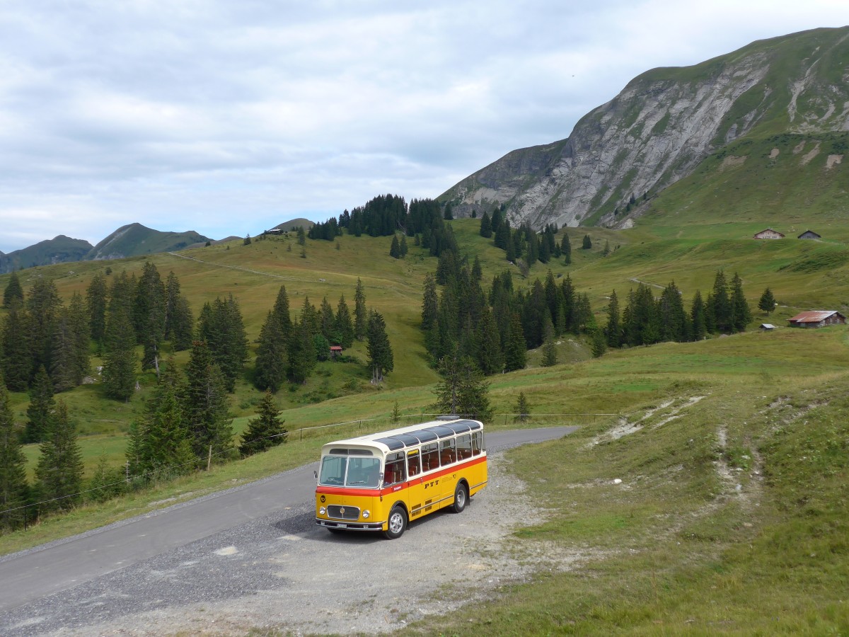 (163'827) - Rentsch, Gunten - BE 823'203 - FBW/Gangloff (ex P 23'203; ex P 21'003) am 23. August 2015 in Habkern, Lombachalp