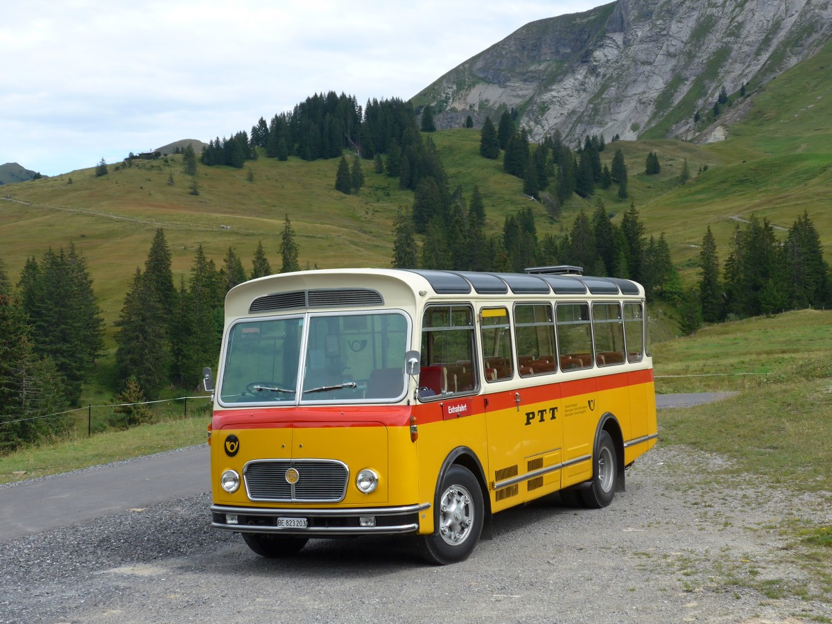 (163'833) - Rentsch, Gunten - BE 823'203 - FBW/Gangloff (ex P 23'203; ex P 21'003) am 23. August 2015 in Habkern, Lombachalp