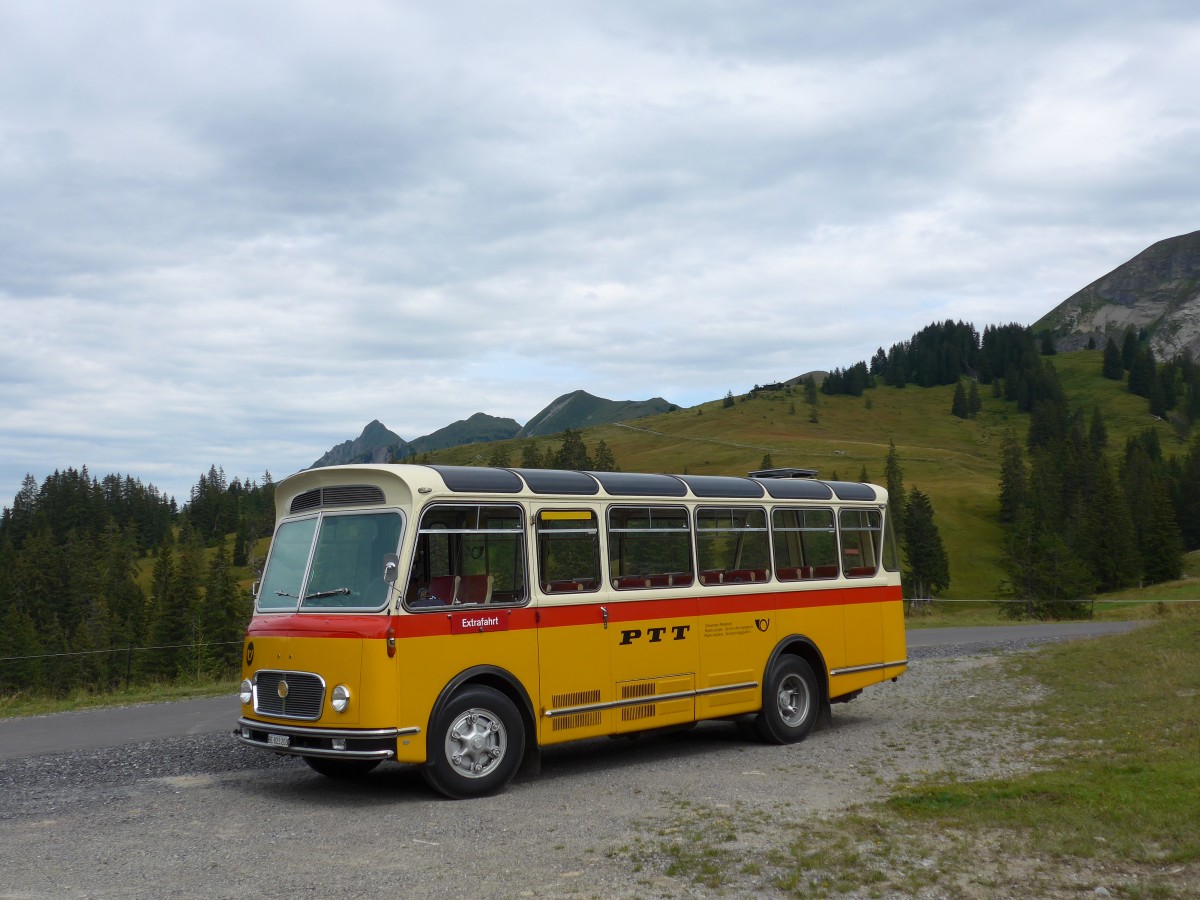 (163'834) - Rentsch, Gunten - BE 823'203 - FBW/Gangloff (ex P 23'203; ex P 21'003) am 23. August 2015 in Habkern, Lombachalp