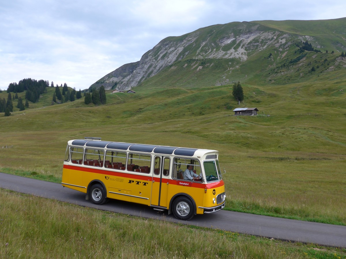 (163'836) - Rentsch, Gunten - BE 823'203 - FBW/Gangloff (ex P 23'203; ex P 21'003) am 23. August 2015 in Habkern, Lombachalp