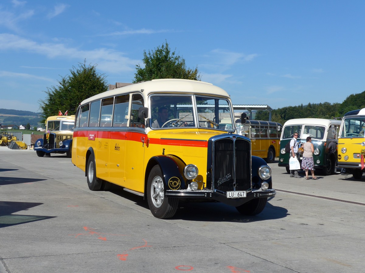 (164'240) - Huber, Oberkirch - LU 647 - Berna/Lauber (ex Ruppen, Stalden; ex Williner, Grchen) am 29. August 2015 in Oberkirch, CAMPUS Sursee