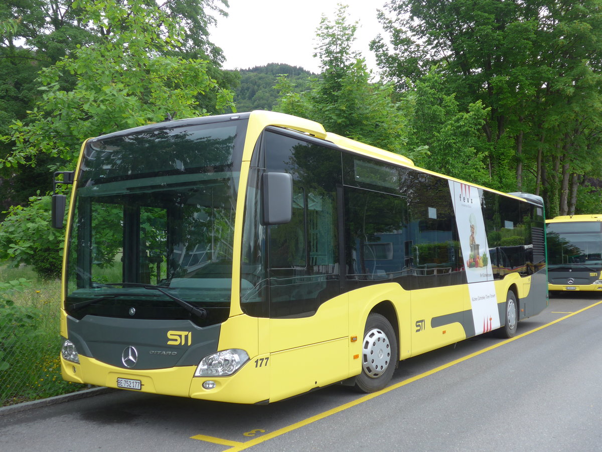 (171'522) - STI Thun - Nr. 177/BE 752'177 - Mercedes am 30. Mai 2016 bei der Schifflndte Thun