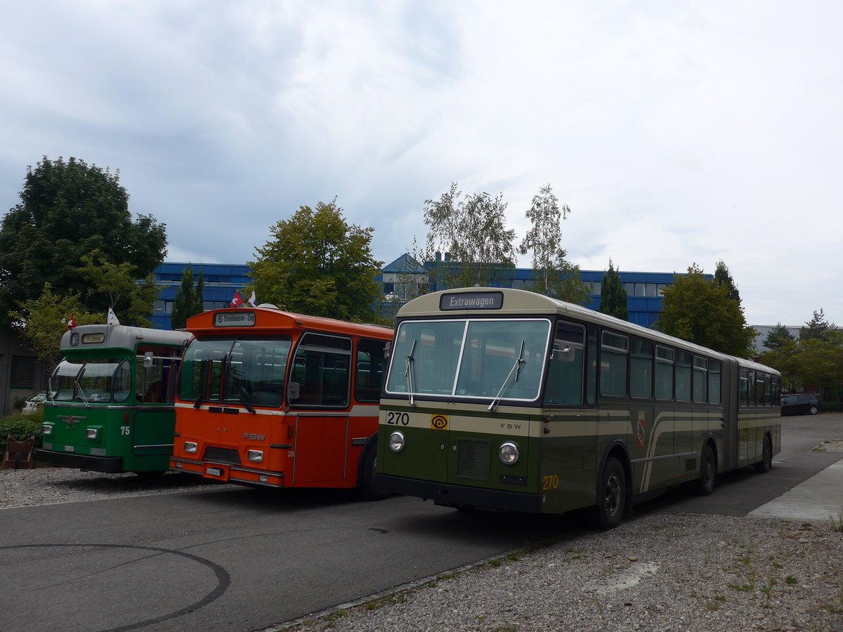 (174'490) - SVB Bern (TVB) - Nr. 270 - FBW/SWS-Gangloff am 4. September 2016 in Aarberg, Halle TVB