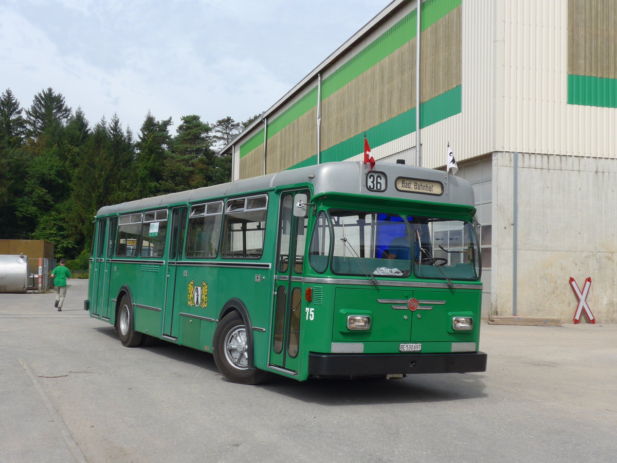 (174'521) - BVB Basel (RWB) - Nr. 75/BE 530'697 - FBW/FHS am 4. September 2016 in Aarberg, Halle TVB