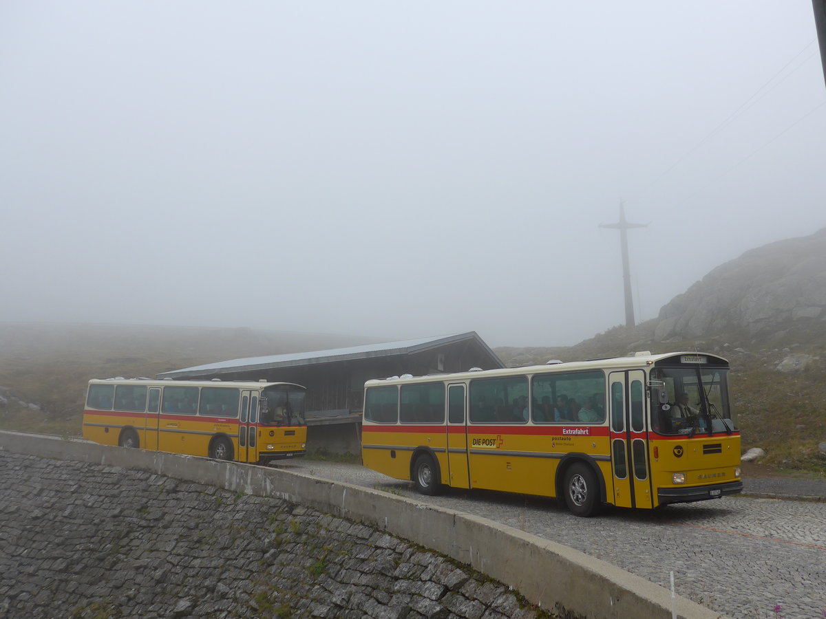 (175'024) - Mark, Andeer - GR 1866 - Saurer/R&J (ex PostAuto Graubnden; ex P 24'350) + AVG Meiringen - Nr. 74/BE 607'481 - Saurer/R&J (ex P 24'357) am 18. September 2016 am Gotthard, Alte Tremolastrasse