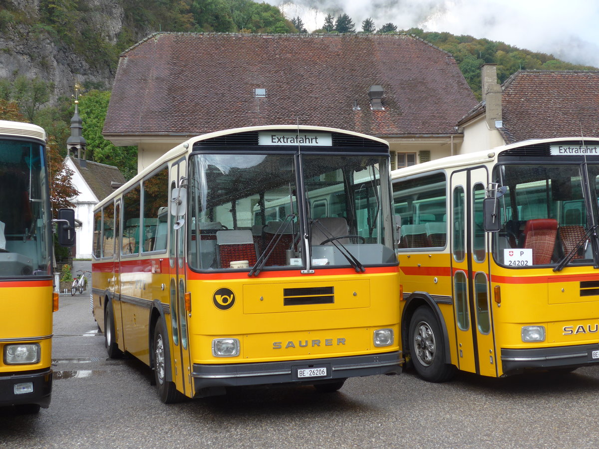 (175'313) - Thommen, Sutz - BE 288'066 - Saurer/Hess (ex P 24'202) am 2. Oktober 2016 in Oensingen, Bad Klus