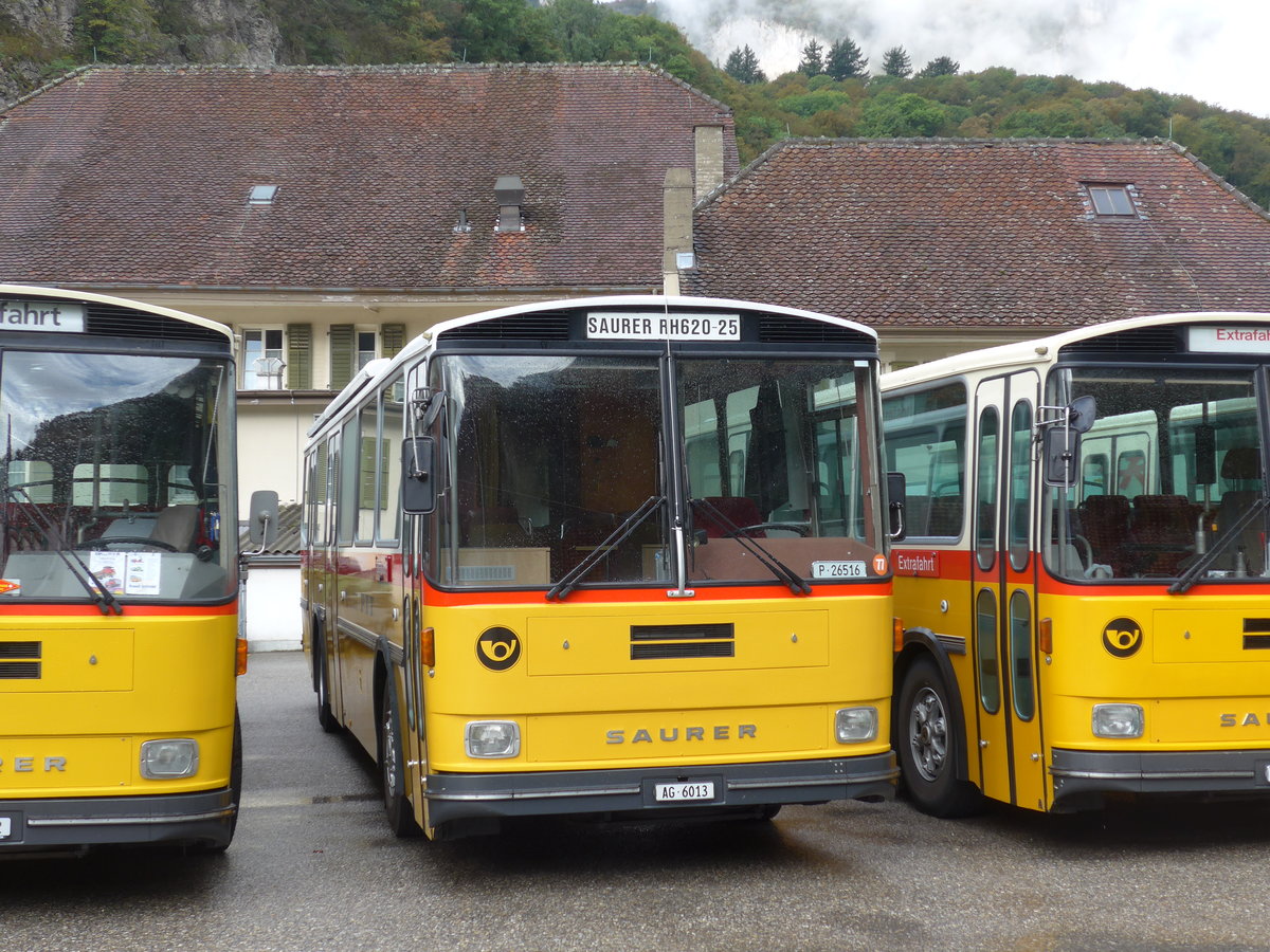 (175'315) - Gloor, Staufen - AG 6013 - Saurer/Hess (ex ALMAT, Tagelswangen; ex P 26'516) am 2. Oktober 2016 in Oensingen, Bad Klus