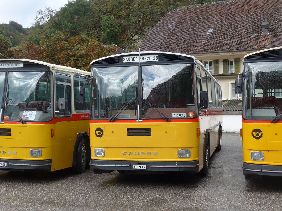 (175'323) - Gloor, Staufen - AG 6013 - Saurer/Hess (ex ALMAT, Tagelswangen; ex P 26'516) am 2. Oktober 2016 in Oensingen, Bad Klus