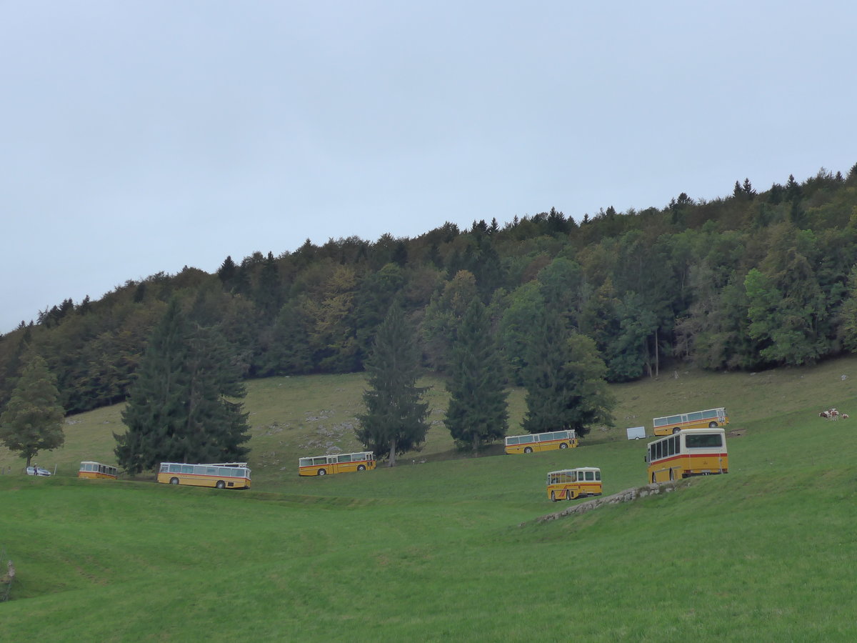 (175'342) - Amstein, Willisau - LU 90'998 U - Saurer/R&J (ex Thepra, Stans Nr. 17; ex Gowa, Stans Nr. 17) am 2. Oktober 2016 am Schletenpass (Solothurnerseite) und 7 weitere RH's