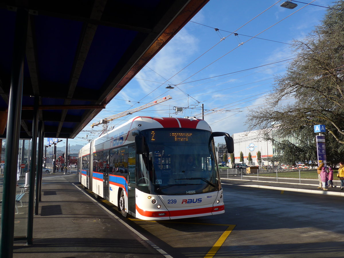 (177'152) - VBL Luzern - Nr. 239 - Hess/Hess Doppelgelenktrolleybus am 11. Dezember 2016 beim Bahnhof Emmenbrcke Sd