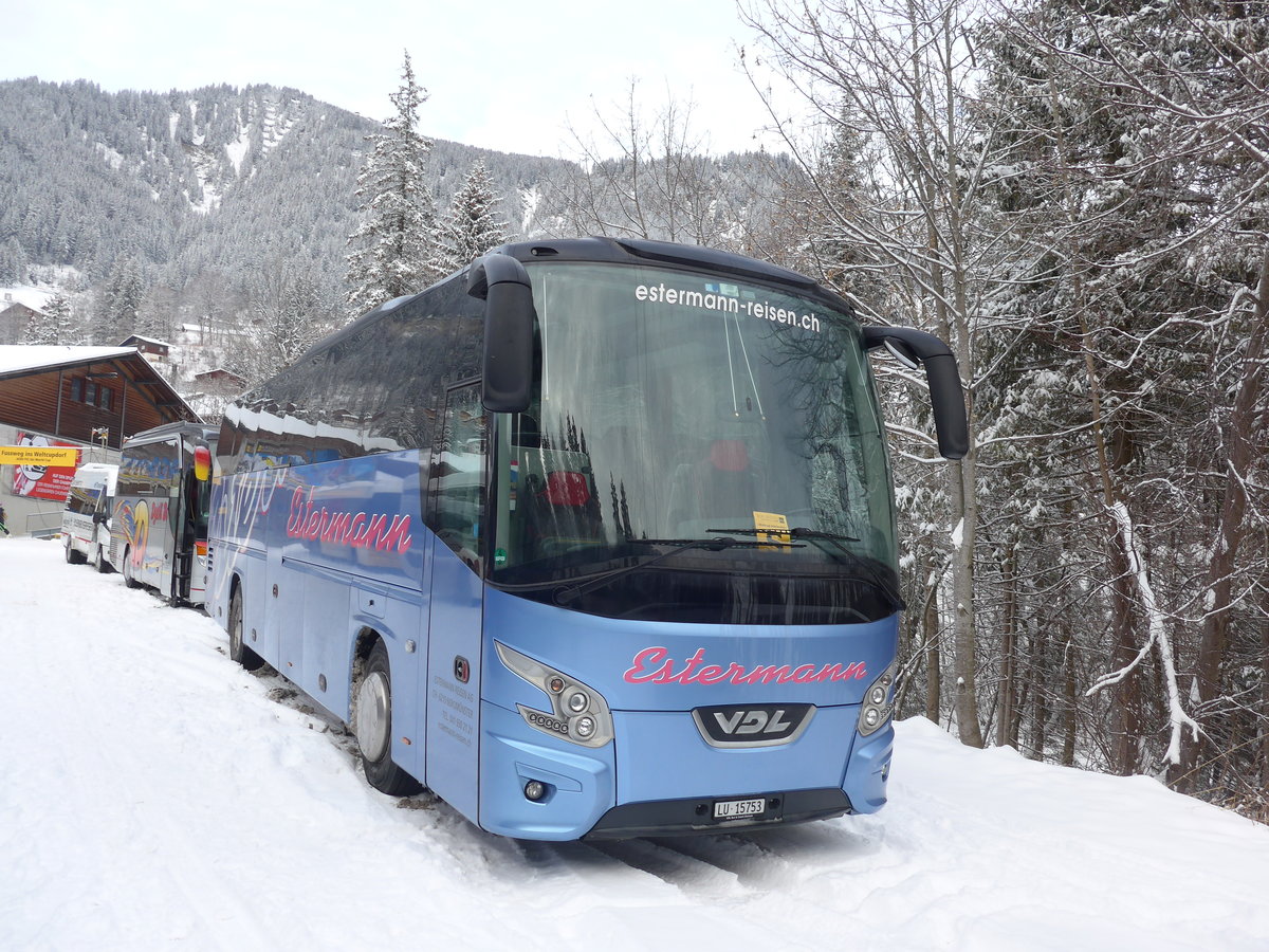 (177'936) - Estermann, Beromnster - LU 15'753 - VDL am 8. Januar 2017 in Adelboden, ASB