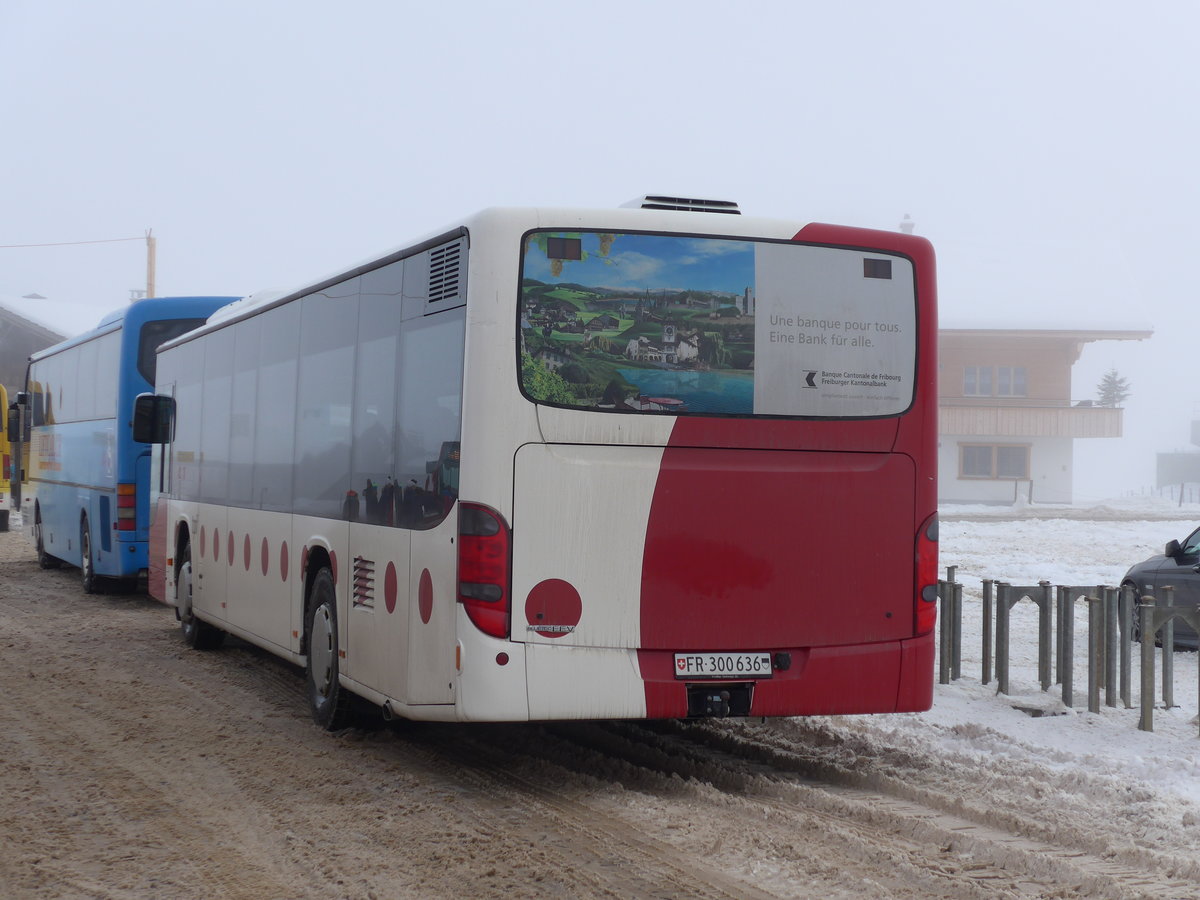 (177'972) - Wieland, Murten - Nr. 58/FR 300'636 - Setra am 8. Januar 2017 in Adelboden, Weltcup