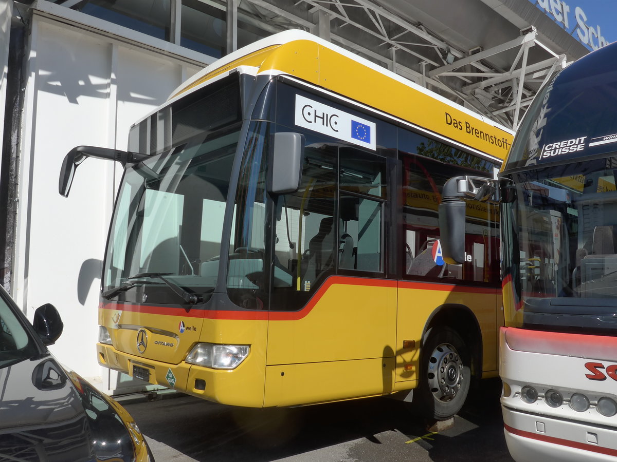 (179'827) - Voegtlin-Meyer, Brugg (VHS) - Nr. 277 - Mercedes am 29. April 2017 in Luzern, Verkehrshaus