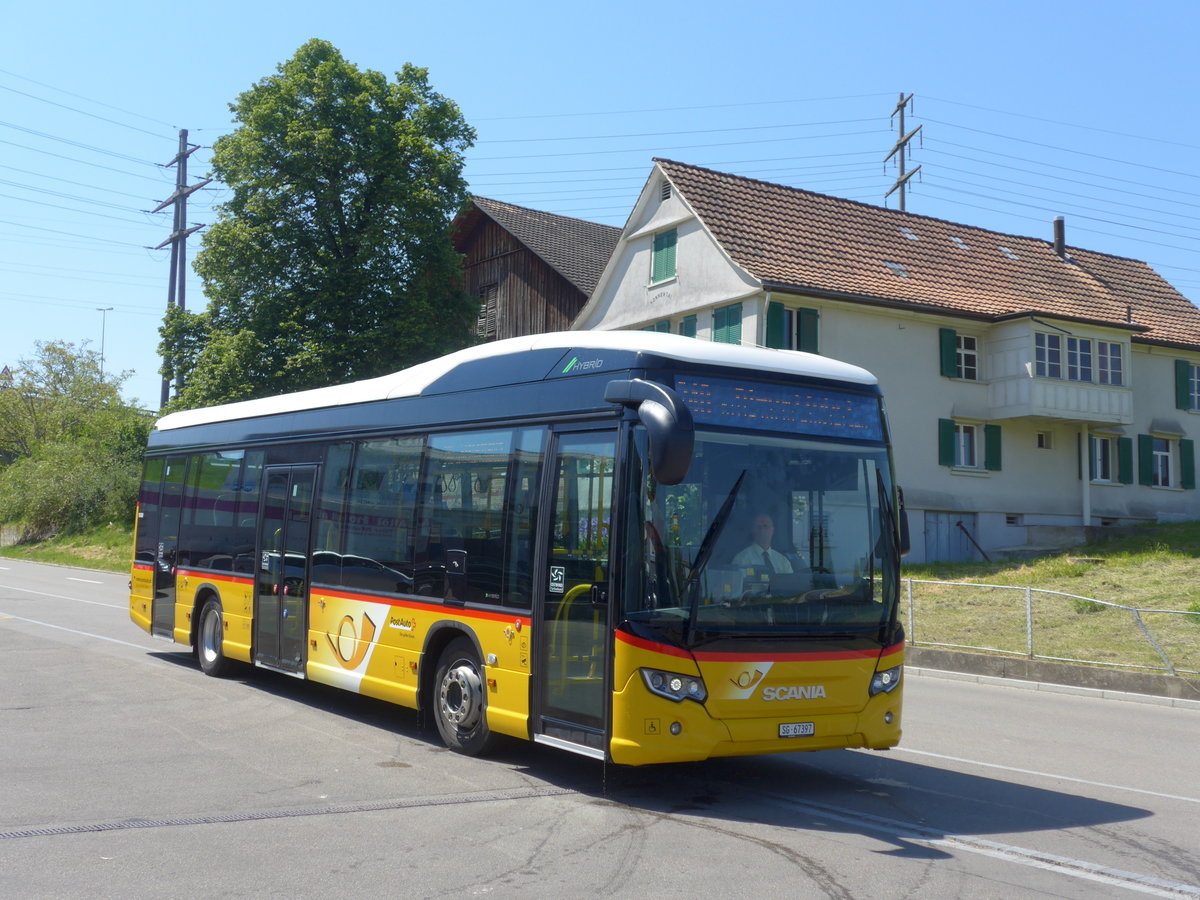 (180'372) - Schwizer, Goldach - SG 67'397 - Scania am 22. Mai 2017 in Goldach, Garage