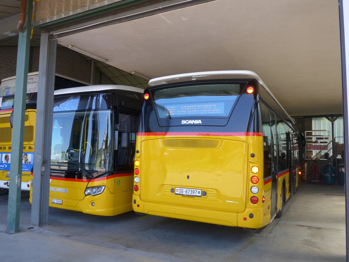 (180'378) - Schwizer, Goldach - SG 67'397 - Scania am 22. Mai 2017 in Goldach, Garage