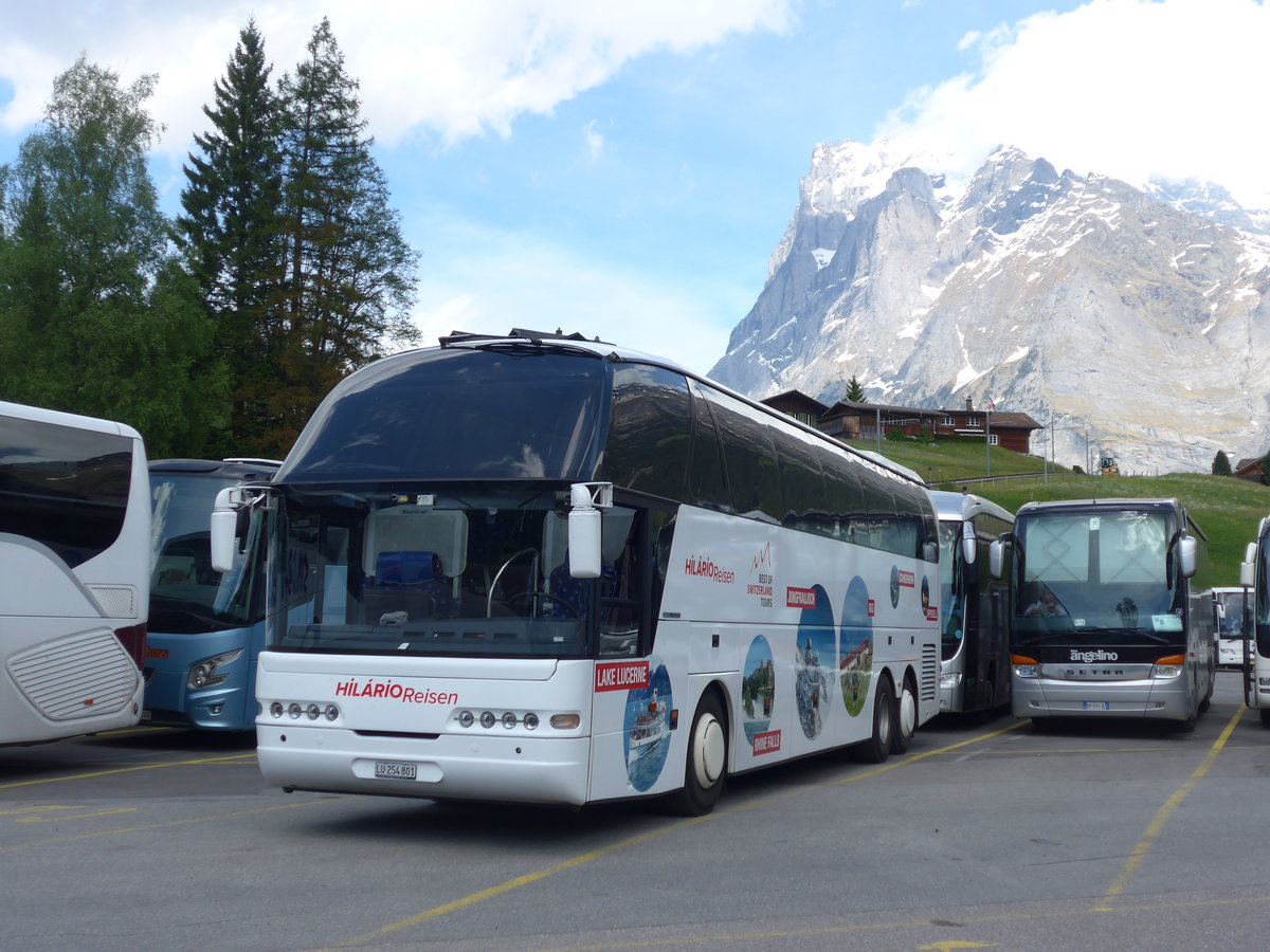 (180'742) - Hilrio, Schtz - LU 254'801 - Neoplan am 24. Mai 2017 in Grindelwald, Grund