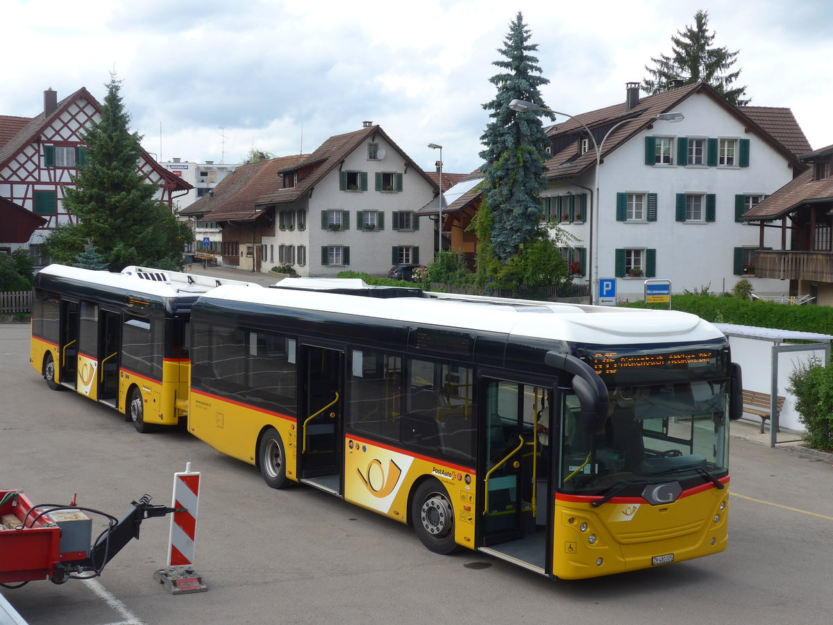 (181'999) - Moser, Flaach - Nr. 289/ZH 480'005 - Gppel am 10. Juli 2017 in Altikon, Brckenwaage